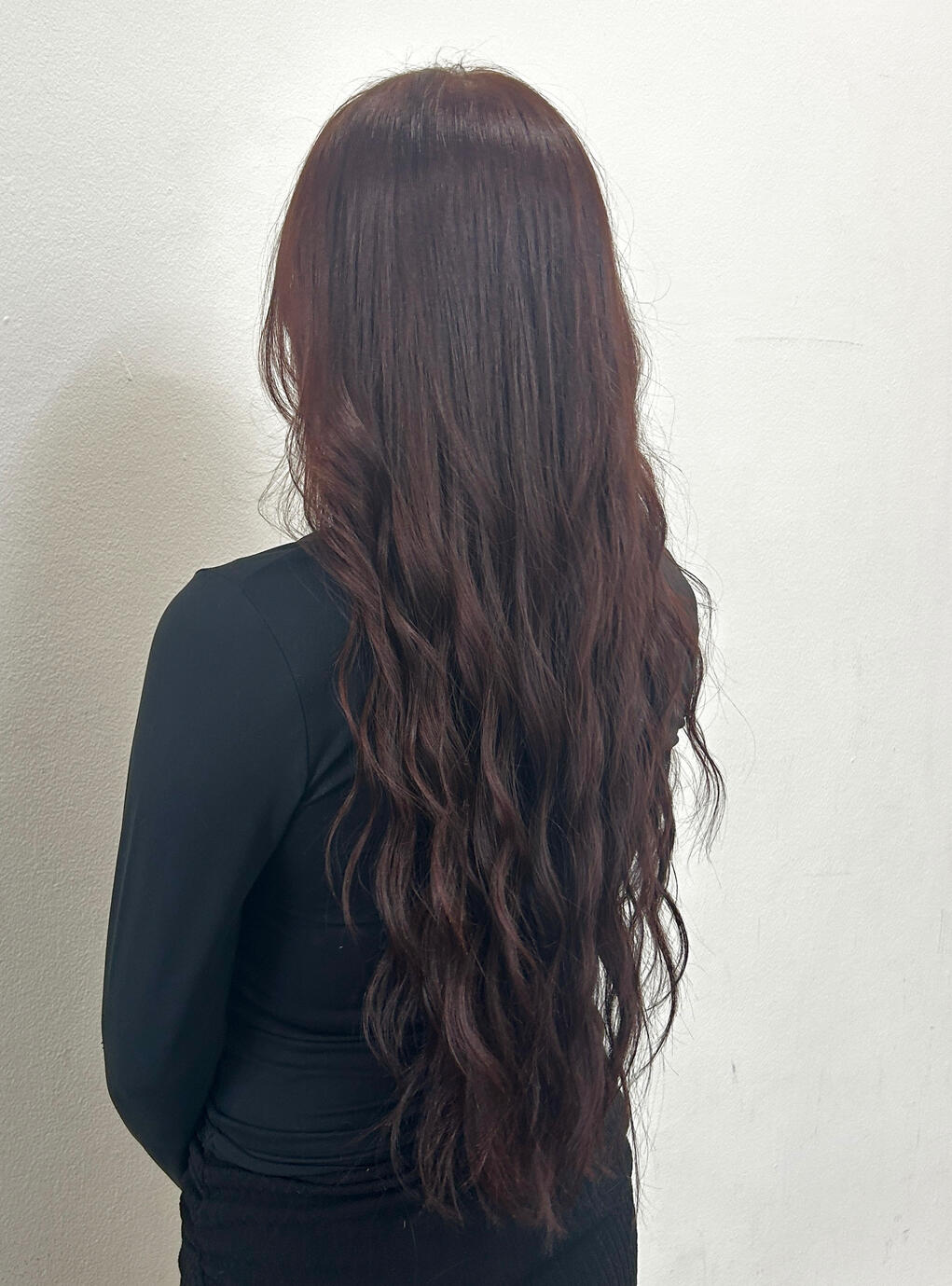 Whole Color / Dark Burgundy