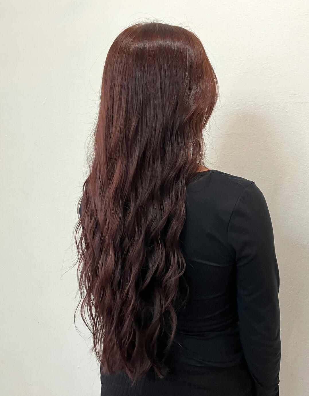 Whole Color / Dark Wine-Red
